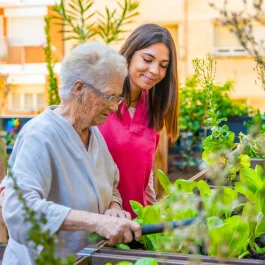 Leda Homecare Ltd