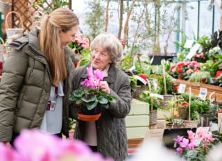 Home Instead (Colchester), Colchester