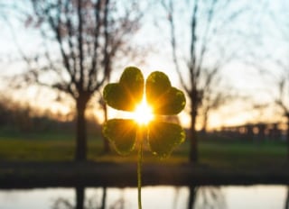 Clover Health and Homecare, Bristol, South Gloucestershire