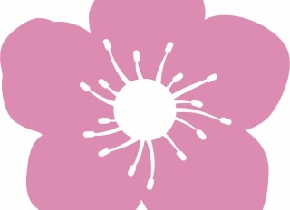 Blossom Home Care York, York, North Yorkshire