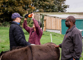 Walfinch Mid & South Buckinghamshire, High Wycombe, Buckinghamshire
