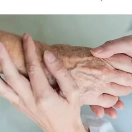 Highlands Care Ltd