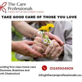 The Care Professionals