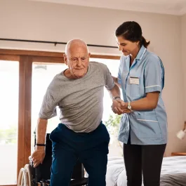 Prestigious Care Services
