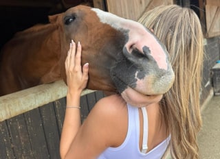 ADSL Ltd, Pulborough, West Sussex