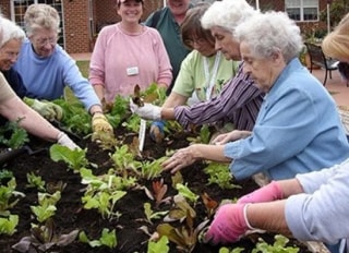 BlueWave Care Ltd formerly known as 247 Somerset Care Services, Taunton, Somerset