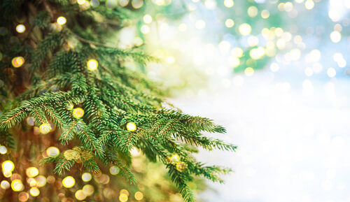 Christmas bonus 2022
