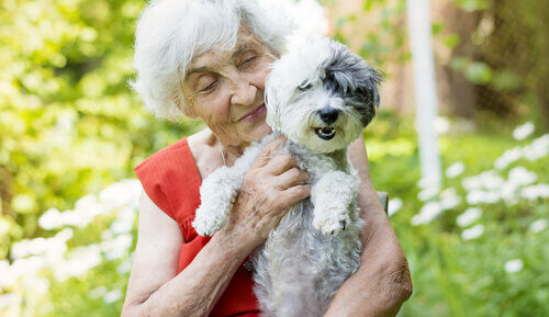 animal therapy dementia