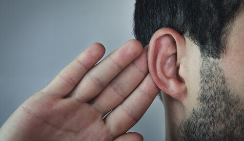 hearing loss; age-related hearing loss; hearing aids