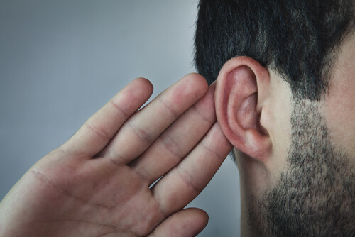 hearing loss; age-related hearing loss; hearing aids