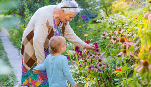 gardening for dementia