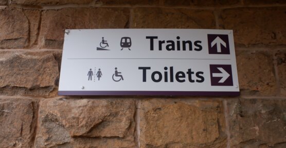 disabled toilet